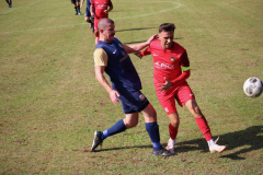 240915_TDSV-16-von-50