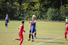 240915_TDSV-17-von-50