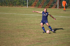 240915_TDSV-22-von-50