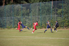 240915_TDSV-3-von-50