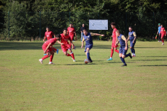 240915_TDSV-33-von-50