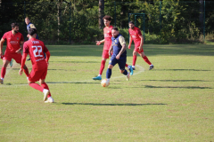 240915_TDSV-34-von-50