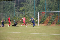 240915_TDSV-4-von-50