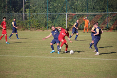 240915_TDSV-40-von-50