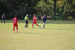 240915_TDSV-43-von-50