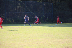 240915_TDSV-45-von-50