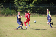 240915_TDSV-6-von-50