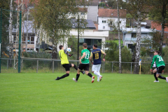IMG_1111