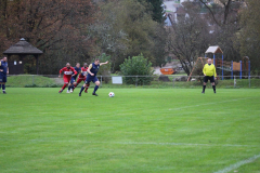 241110_Mehlbach-14-von-73