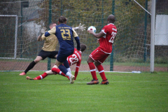 241110_Mehlbach-34-von-73