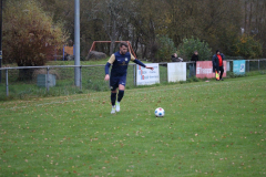 241110_Mehlbach-48-von-73