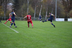 241110_Mehlbach-53-von-73