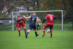 241110_Mehlbach-9-von-73