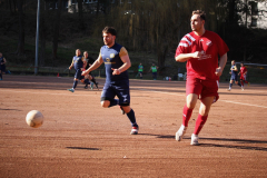 250309_Weidenthal-4-von-37