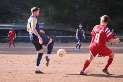 250309_Weidenthal-5-von-37