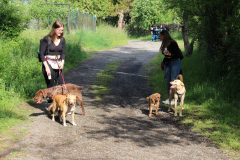 250529_Goetzwanderung-28-von-78