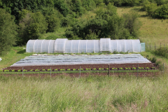 250529_Goetzwanderung-33-von-78