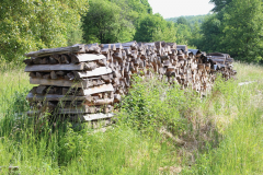 250529_Goetzwanderung-34-von-78