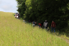 250529_Goetzwanderung-36-von-78