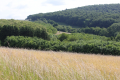 250529_Goetzwanderung-37-von-78