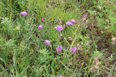 250529_Goetzwanderung-40-von-78