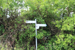 250529_Goetzwanderung-44-von-78