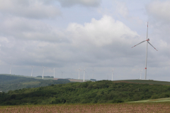 250529_Goetzwanderung-45-von-78