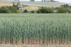 250529_Goetzwanderung-47-von-78