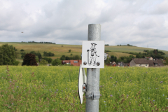 250529_Goetzwanderung-50-von-78