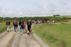 250529_Goetzwanderung-53-von-78