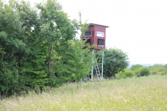 250529_Goetzwanderung-56-von-78