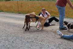 250529_Goetzwanderung-70-von-78