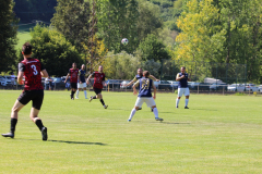 IMG_6349