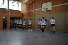Volleyball_Impressionen_3