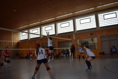 Volleyball_Impressionen_4