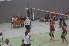 Volleyball_Impressionen_6