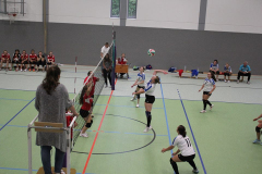 Volleyball_Impressionen_8